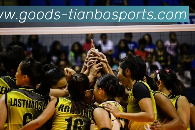 天博体育平台生态图